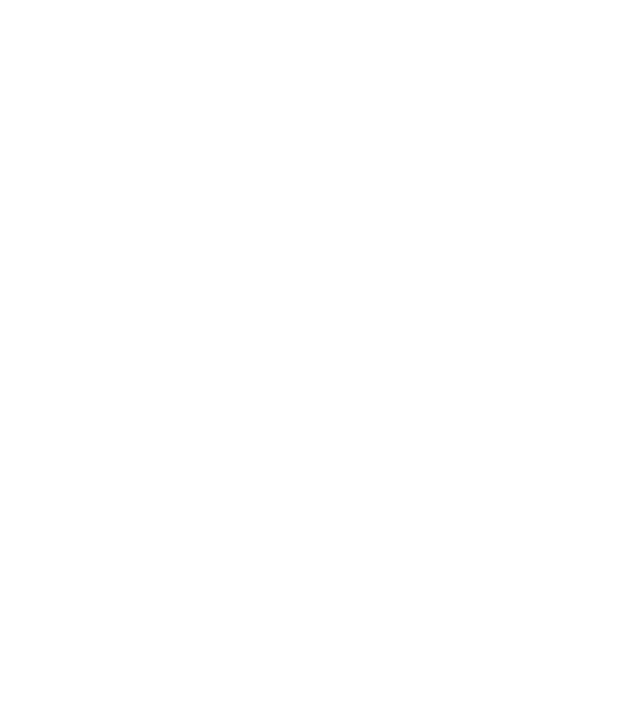 fiddlehead illustration background